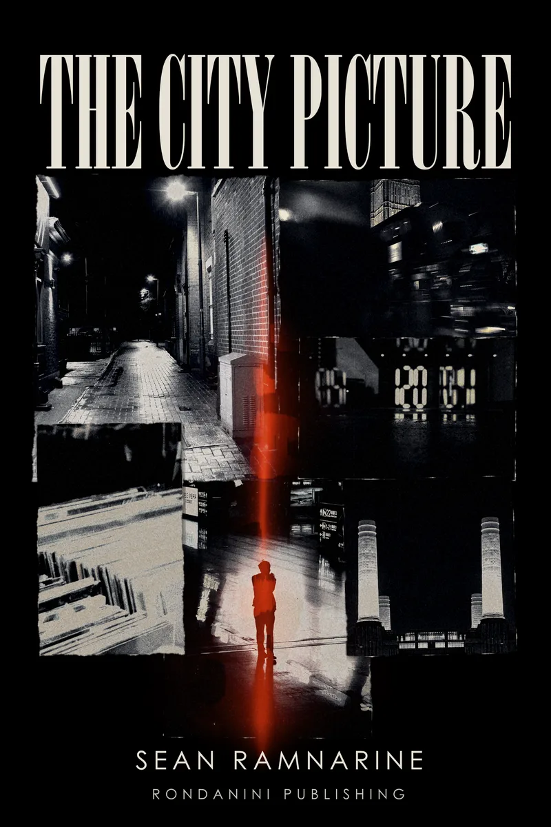 Cover of The City Picture by Sean Ramnarine, published by Rondanini Publishing.